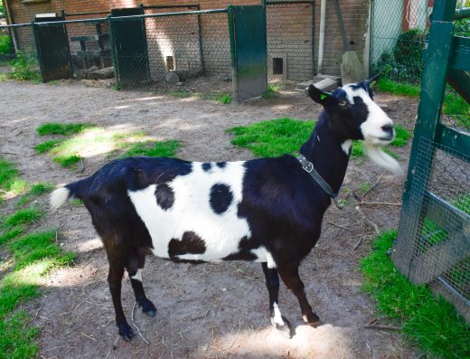 20250430-_DSC0493 Fien