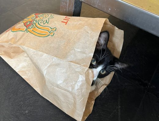 WhatsApp Image 2025-07-25 at 10.04.10